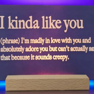 Witty Love Definition Light - Engraved Acrylic Humorous Gift with USB Base